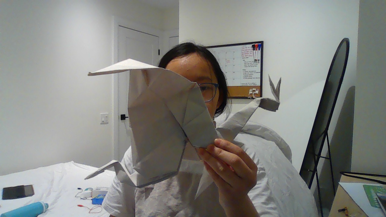 Paper dragon in the normal state.