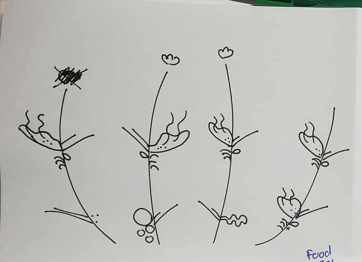 Data selfie using the theme of what I have eaten in 5 days