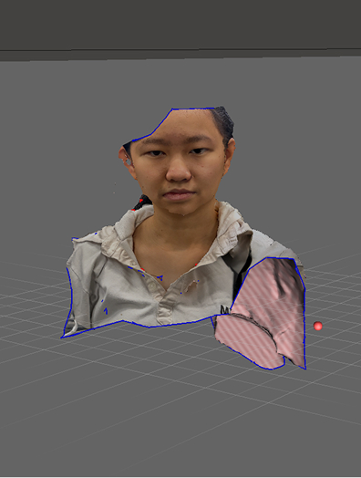 3D scanned potrait, a lot is missing. Will dissapear when inspection using Meshmixer