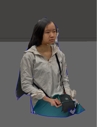 3D scanned potrait, a lot is missing. Will dissapear when inspection using Meshmixer