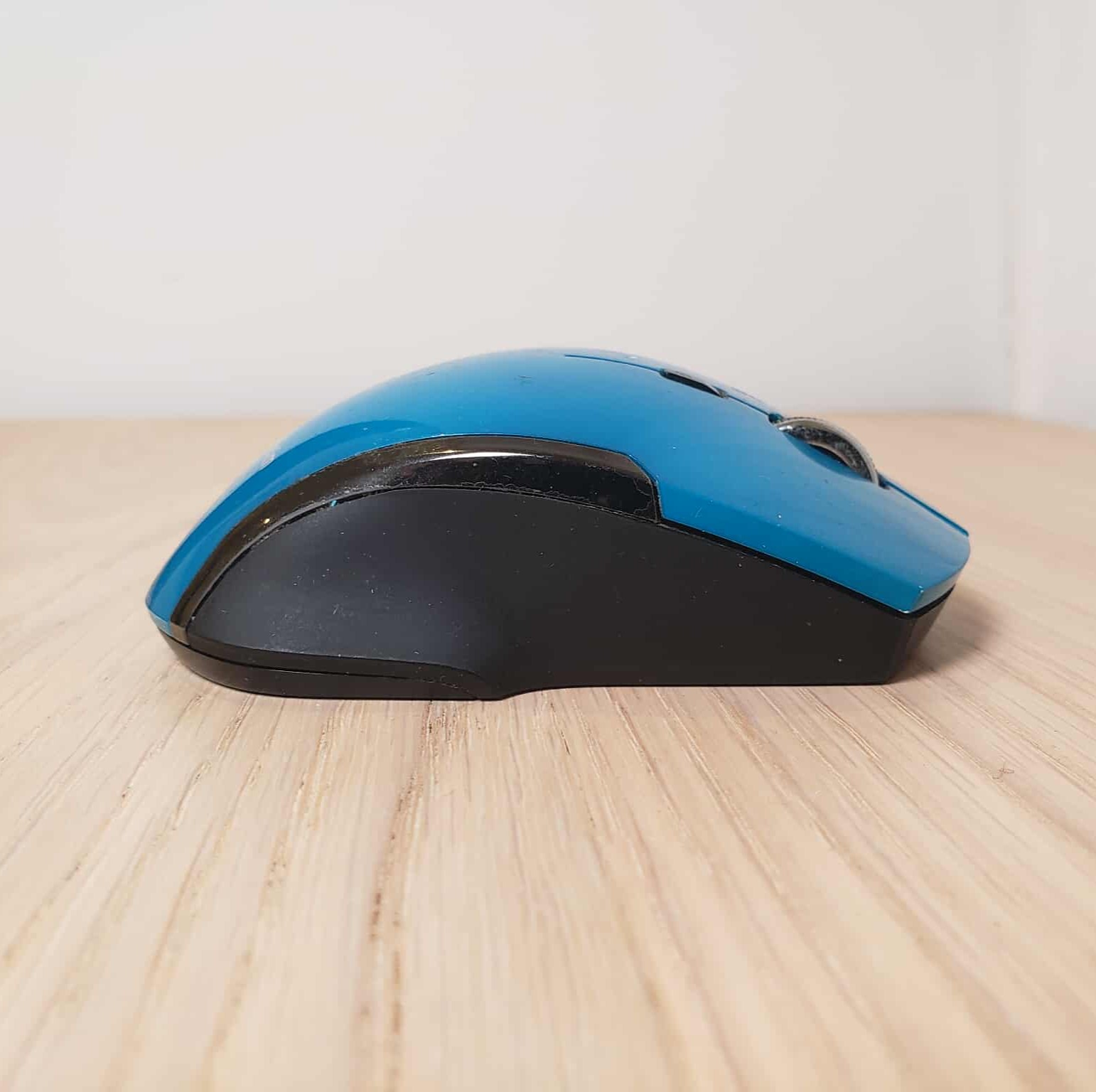 The right sideview of a mouse